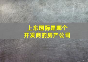 上东国际是哪个开发商的房产公司