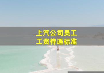 上汽公司员工工资待遇标准