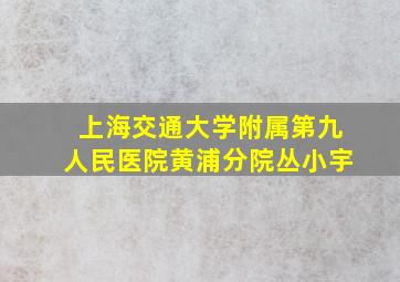 上海交通大学附属第九人民医院黄浦分院丛小宇