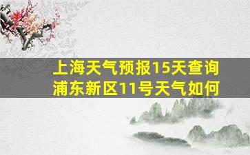 上海天气预报15天查询浦东新区11号天气如何