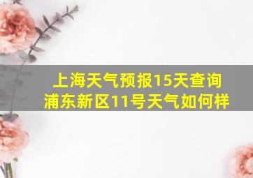 上海天气预报15天查询浦东新区11号天气如何样