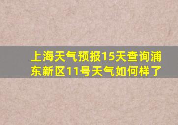 上海天气预报15天查询浦东新区11号天气如何样了