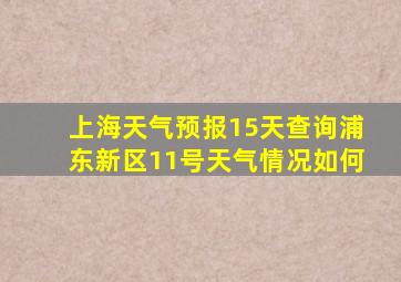 上海天气预报15天查询浦东新区11号天气情况如何