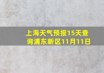 上海天气预报15天查询浦东新区11月11日