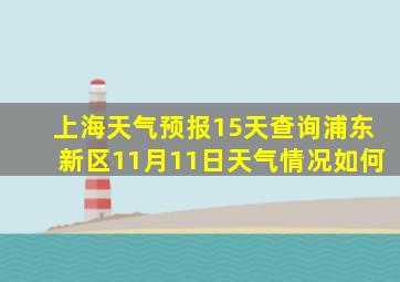 上海天气预报15天查询浦东新区11月11日天气情况如何