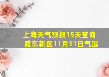 上海天气预报15天查询浦东新区11月11日气温