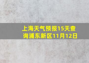 上海天气预报15天查询浦东新区11月12日