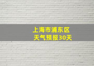 上海市浦东区天气预报30天