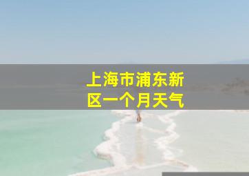 上海市浦东新区一个月天气