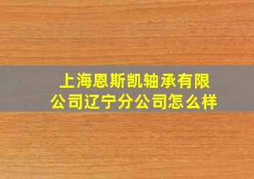 上海恩斯凯轴承有限公司辽宁分公司怎么样