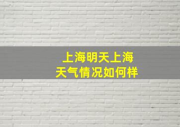 上海明天上海天气情况如何样