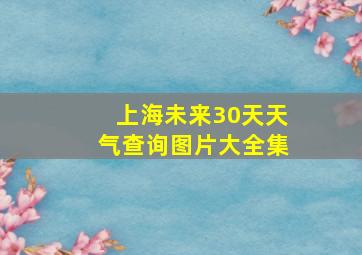 上海未来30天天气查询图片大全集