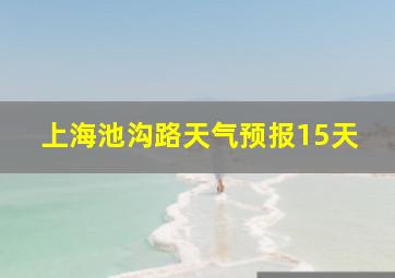 上海池沟路天气预报15天