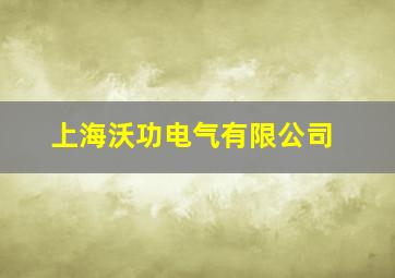 上海沃功电气有限公司