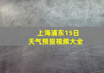 上海浦东15日天气预报视频大全