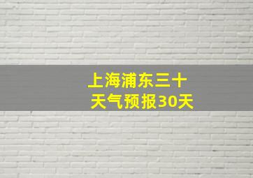 上海浦东三十天气预报30天