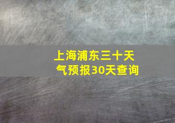 上海浦东三十天气预报30天查询