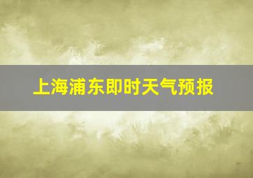 上海浦东即时天气预报