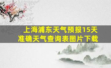 上海浦东天气预报15天准确天气查询表图片下载