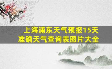 上海浦东天气预报15天准确天气查询表图片大全