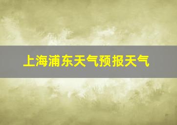 上海浦东天气预报天气