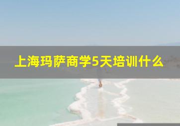 上海玛萨商学5天培训什么