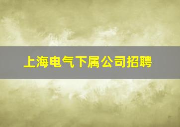 上海电气下属公司招聘