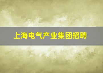 上海电气产业集团招聘