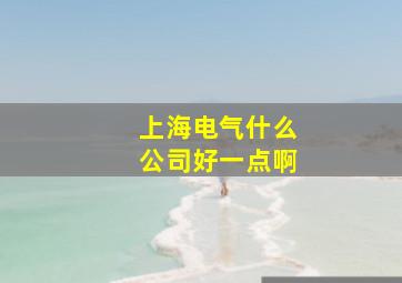 上海电气什么公司好一点啊