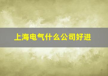 上海电气什么公司好进