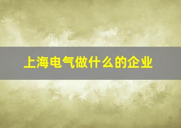 上海电气做什么的企业