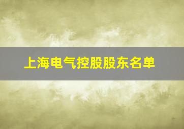 上海电气控股股东名单