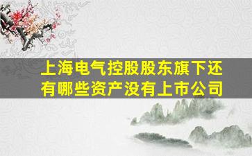 上海电气控股股东旗下还有哪些资产没有上市公司