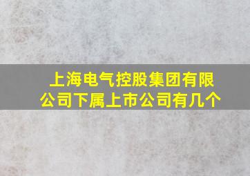 上海电气控股集团有限公司下属上市公司有几个