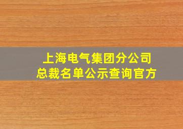 上海电气集团分公司总裁名单公示查询官方