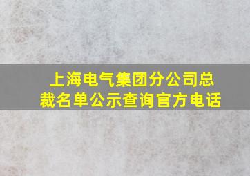 上海电气集团分公司总裁名单公示查询官方电话