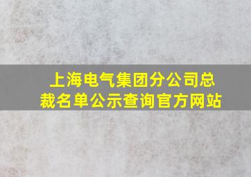 上海电气集团分公司总裁名单公示查询官方网站