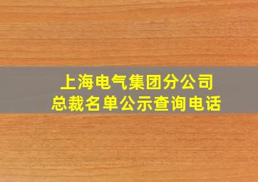 上海电气集团分公司总裁名单公示查询电话