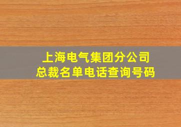 上海电气集团分公司总裁名单电话查询号码