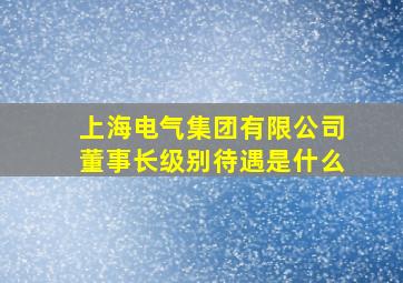 上海电气集团有限公司董事长级别待遇是什么