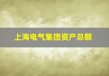 上海电气集团资产总额