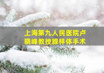 上海第九人民医院卢晓峰教授腺样体手术