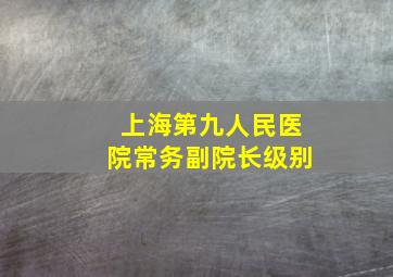 上海第九人民医院常务副院长级别