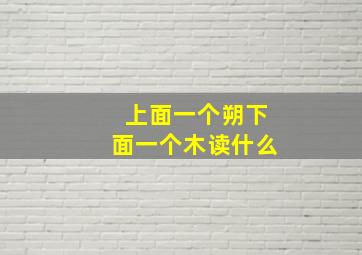 上面一个朔下面一个木读什么