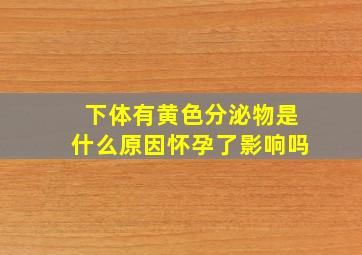 下体有黄色分泌物是什么原因怀孕了影响吗