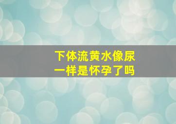 下体流黄水像尿一样是怀孕了吗