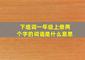 下组词一年级上册两个字的词语是什么意思