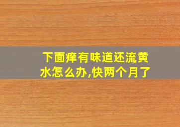 下面痒有味道还流黄水怎么办,快两个月了