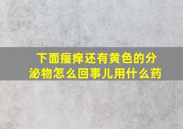 下面瘙痒还有黄色的分泌物怎么回事儿用什么药