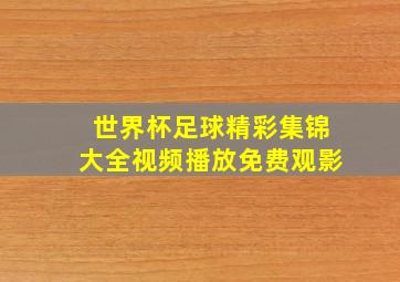 世界杯足球精彩集锦大全视频播放免费观影